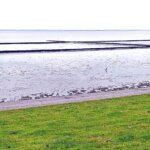 Wattenmeer