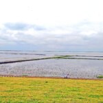 Nordsee-Fahrradtour-nach-Greetsiel-via-Norden-Ostfriesland-20210723-141530-TS-HD
