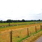 Nordsee-Fahrradtour-nach-Greetsiel-via-Norden-Ostfriesland-20210723-144805-TS-HD